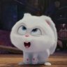 Profilbild von yura