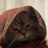 Profilbild von Gato Flerken Goosey Goo
