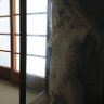 àbíkẹ́yìnESU profil fotoğrafı