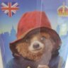 paddington profil fotoğrafı