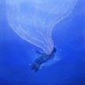 Profilbild von blue