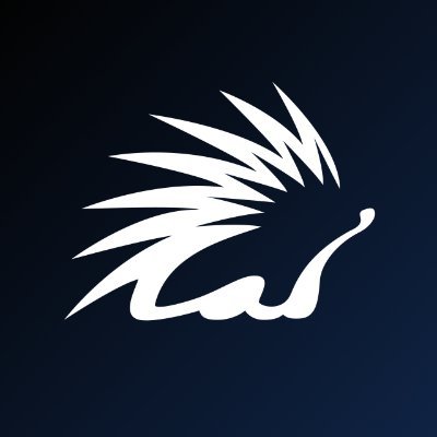 Spiko's profile picture
