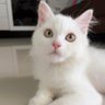 นมโฟร์โมสต์😞 profil fotoğrafı