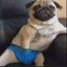 flowwirtz's profile picture