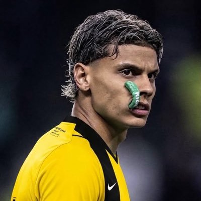 Vr_0h's profile picture