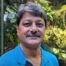 Sujay Gupta 的头像