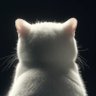 visjia profil fotoğrafı