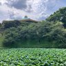 shidenkai 的头像