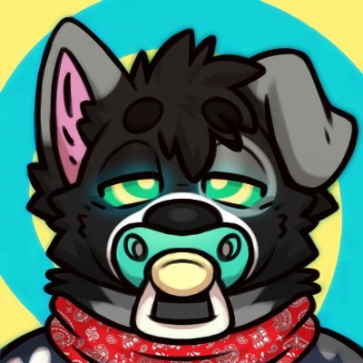 Oreo Collie's profile picture