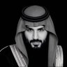 Profilbild von bms🇸🇦