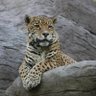 O futuro é glorioso. profil fotoğrafı