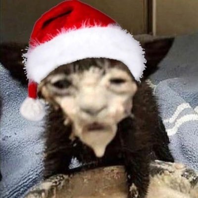 _k_spd's profile picture