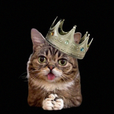 AmeliaDanias's profile picture