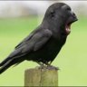 🧛♂️'s profile picture