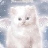 Profilbild von b
