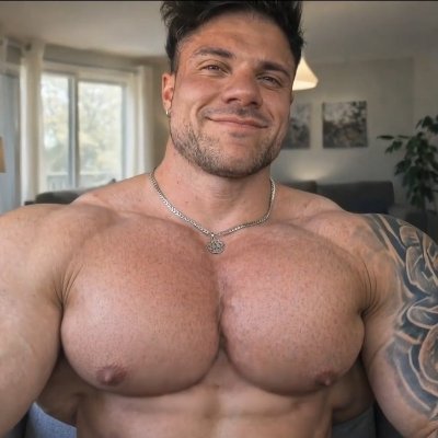 The True King of Pecs's profile picture