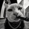 Profilbild von Nara Cestona 🔔
