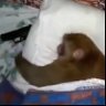 💤 profil fotoğrafı