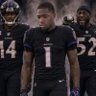 Safety for the Ravens🏦's profile picture