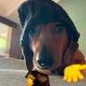 Kickass's profile picture