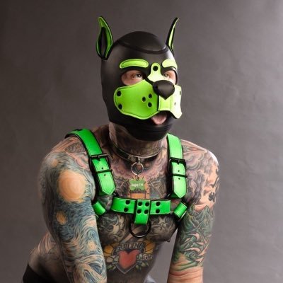 borgpup's profile picture