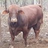 Profilbild von Ndaba