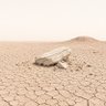 Profilbild von Groundside Mars