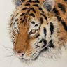 Profilbild von Wang.HY-watercolor