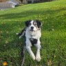 Фото профиля Terry Lynn Steimel
