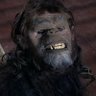 Trog Lombago profil fotoğrafı