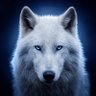NYMRA | The Wolf of Arc 🐺's profile picture