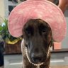 JustPeachy's profile picture