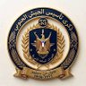 ذي حور 的头像