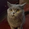 deniz profil fotoğrafı