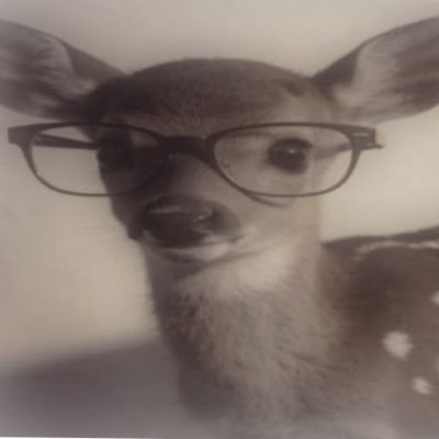 fawnheartt's profile picture