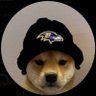 Profilbild von austin