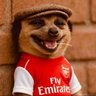 Meerkat Afc🔴⚪️ profil fotoğrafı