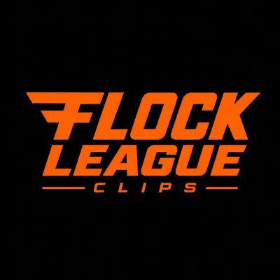 FlockLeagueClip's profile picture