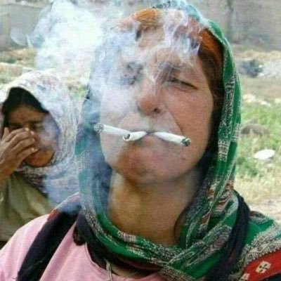 Gulê rabe porkurê.!'s profile picture