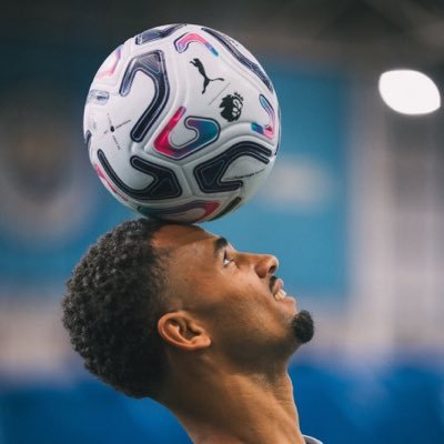 Palvaa_'s profile picture