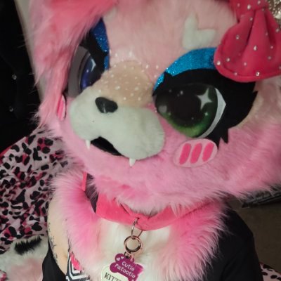 Gigi the Angel Cat's profile picture
