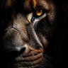 Martín Ruiz S.'s profile picture