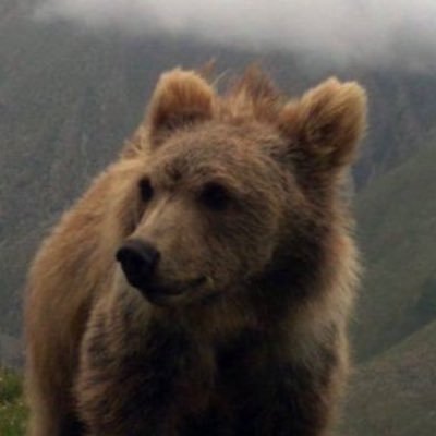 clemenspoint's profile picture