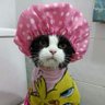 y como tu ninguna's profile picture