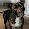 LunaTic profil fotoğrafı