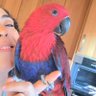 Profilbild von IsveçliKaṣif🌏Nature&Wings🌏