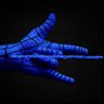 Фото профиля I Mark🖤💙⭐️🇮🇹21🇮🇹⭐️🖤💙