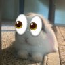 small rabbit 🩷🍉🔆 profil fotoğrafı