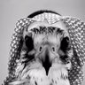 عبدالعزيز | Abdulaziz profil fotoğrafı
