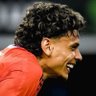 Profilbild von IBRA